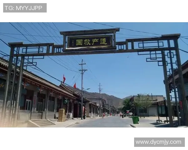 山西与四川农村的对比探讨：文化经济与生活方式的差异与共鸣